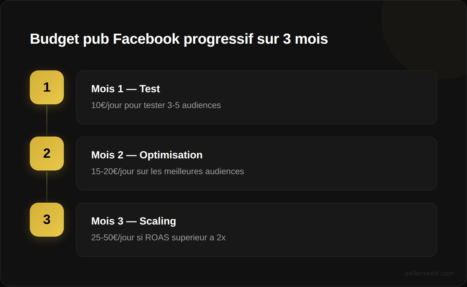 Stratégie budget progressive sur 3 mois : Mois 1 phase test 10€/jour, Mois 2 optimisation 15-20€/jour, Mois 3 scaling 25-50€/jour si ROAS positif
